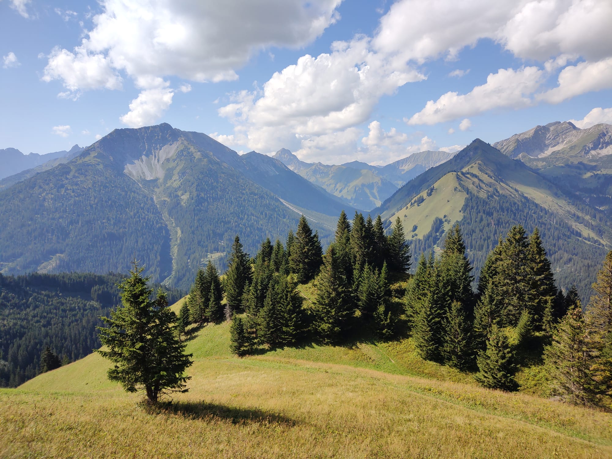 Wirtschaftliche Höhen und Tiefen