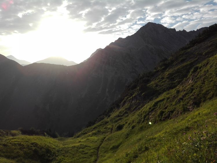 Herrlich heitere Heidelandschaft